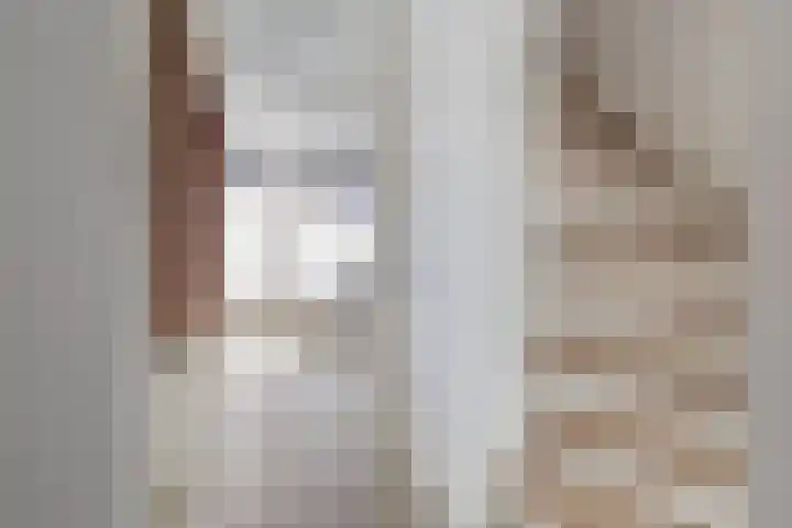 Anton Wachterburg 23 Capelle aan den IJssel thumbnail 10