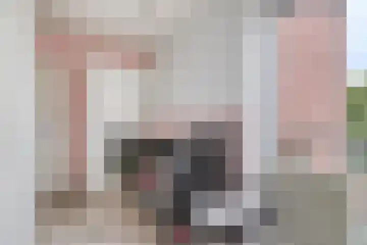 Anton Wachterburg 23 Capelle aan den IJssel thumbnail 14