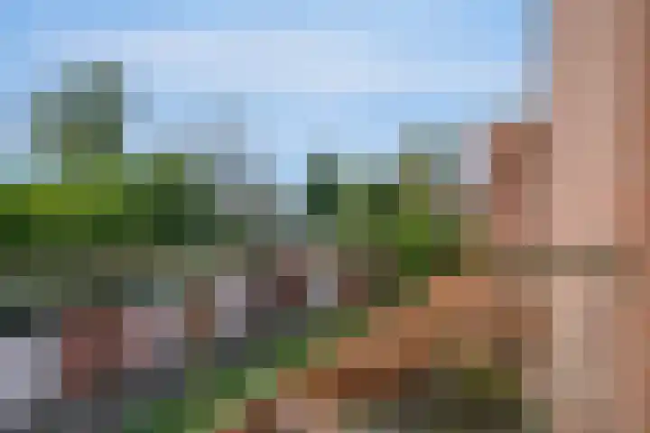 Anton Wachterburg 23 Capelle aan den IJssel thumbnail 15