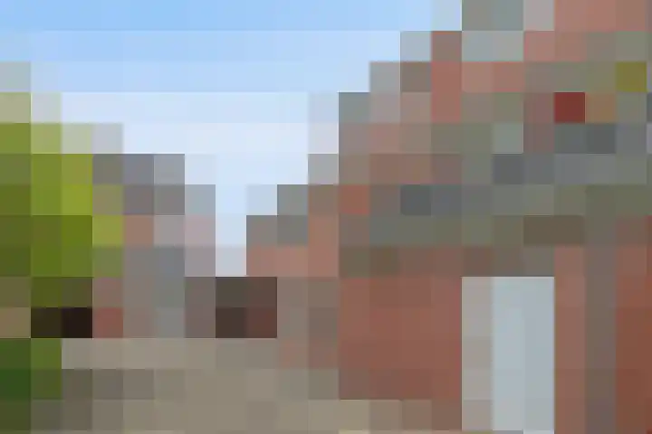 Anton Wachterburg 23 Capelle aan den IJssel thumbnail 27