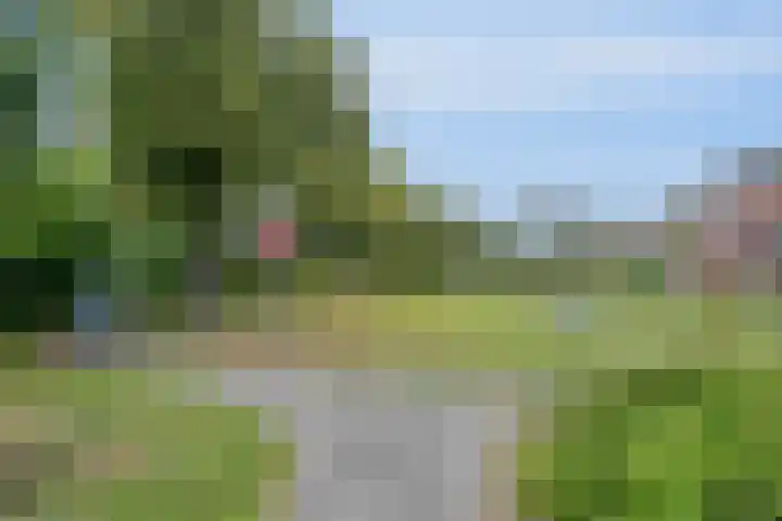 Anton Wachterburg 23 Capelle aan den IJssel thumbnail 30