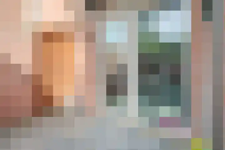 Anton Wachterburg 23 Capelle aan den IJssel thumbnail 8