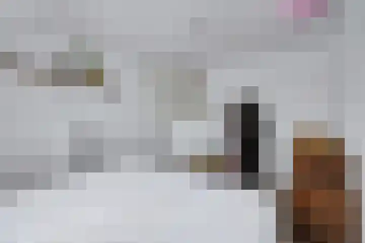 Anton Wachterburg 56 Capelle aan den IJssel thumbnail 18