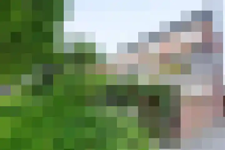 Anton Wachterburg 56 Capelle aan den IJssel thumbnail 24