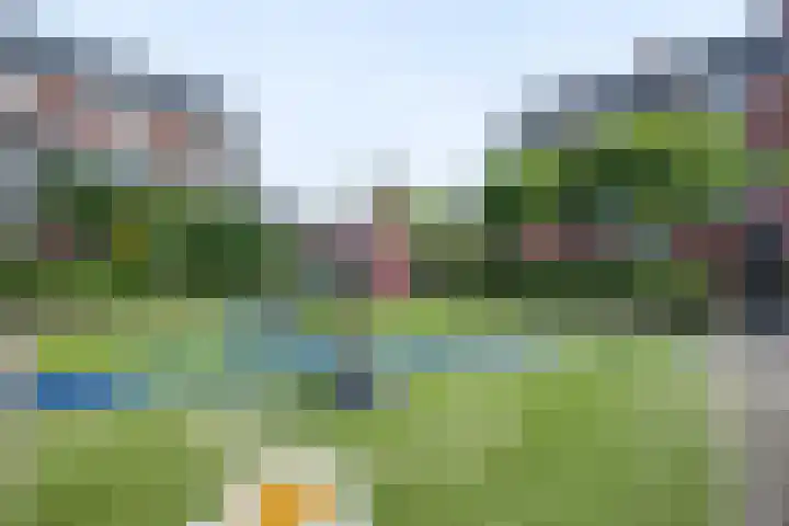 Anton Wachterburg 56 Capelle aan den IJssel thumbnail 25