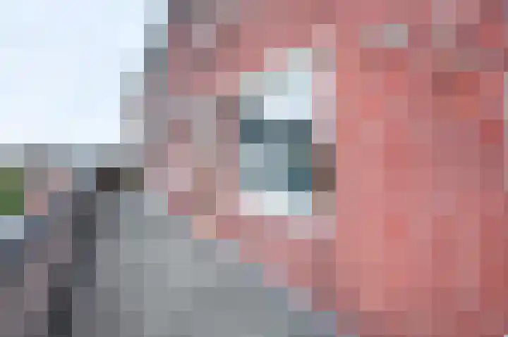Anton Wachterburg 56 Capelle aan den IJssel thumbnail 4