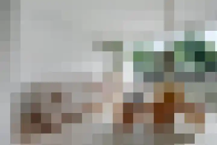 Anton Wachterburg 56 Capelle aan den IJssel thumbnail 8