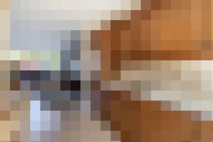 Anton Wachterburg 69 Capelle aan den IJssel thumbnail 11
