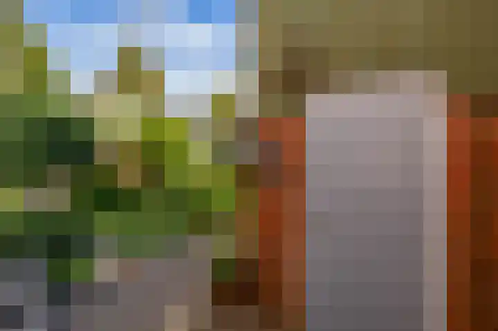 Anton Wachterburg 69 Capelle aan den IJssel thumbnail 14