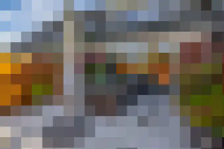 Anton Wachterburg 69 Capelle aan den IJssel thumbnail 16