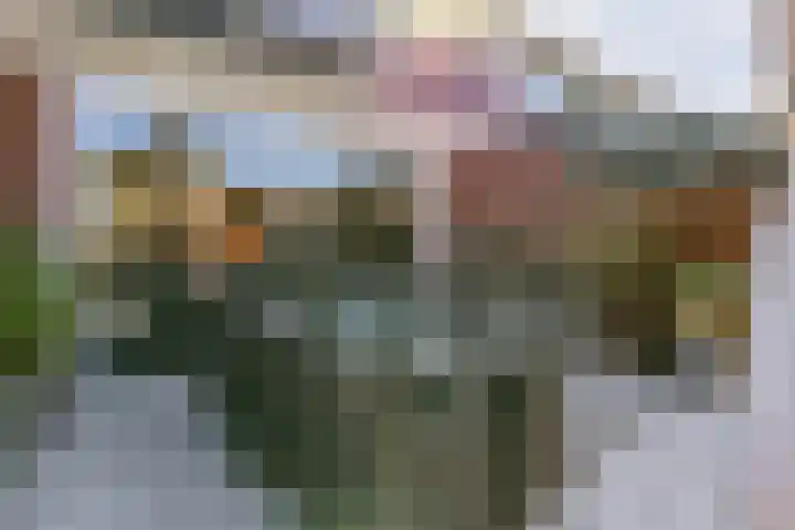 Anton Wachterburg 69 Capelle aan den IJssel thumbnail 19