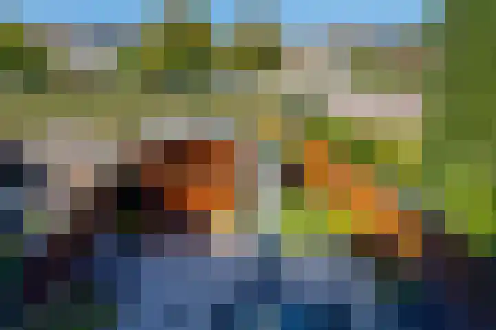Anton Wachterburg 69 Capelle aan den IJssel thumbnail 20