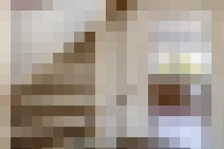 Anton Wachterburg 69 Capelle aan den IJssel thumbnail 29