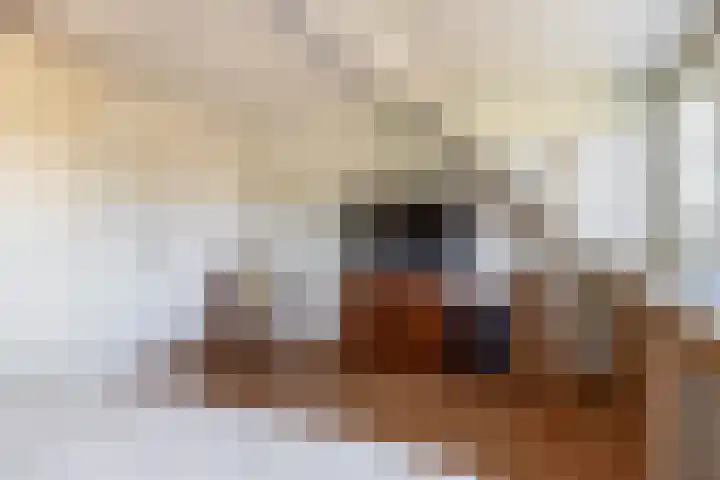 Anton Wachterburg 69 Capelle aan den IJssel thumbnail 31