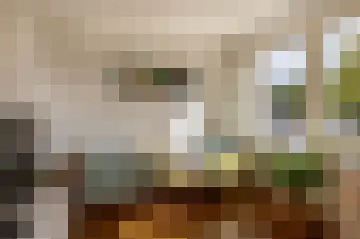 Anton Wachterburg 69 Capelle aan den IJssel thumbnail 34