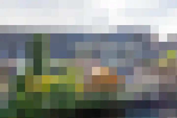 Anton Wachterburg 69 Capelle aan den IJssel thumbnail 35
