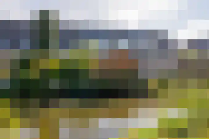 Anton Wachterburg 69 Capelle aan den IJssel thumbnail 36