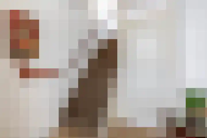 Anton Wachterburg 69 Capelle aan den IJssel thumbnail 4