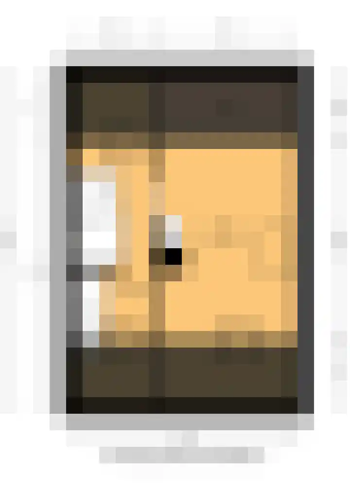 Anton Wachterburg 69 Capelle aan den IJssel thumbnail 49
