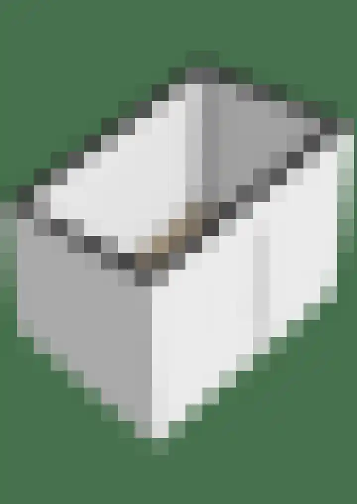 Anton Wachterburg 69 Capelle aan den IJssel thumbnail 54