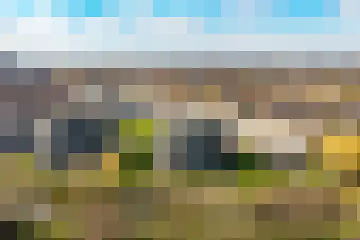 Antoni Gaudipark 124 Vlissingen thumbnail 32