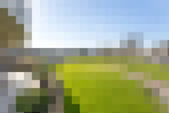 Antoni Gaudipark 124 Vlissingen thumbnail 5