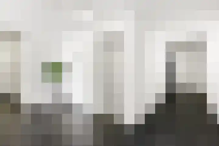 Antoni Gaudipark 124 Vlissingen thumbnail 6