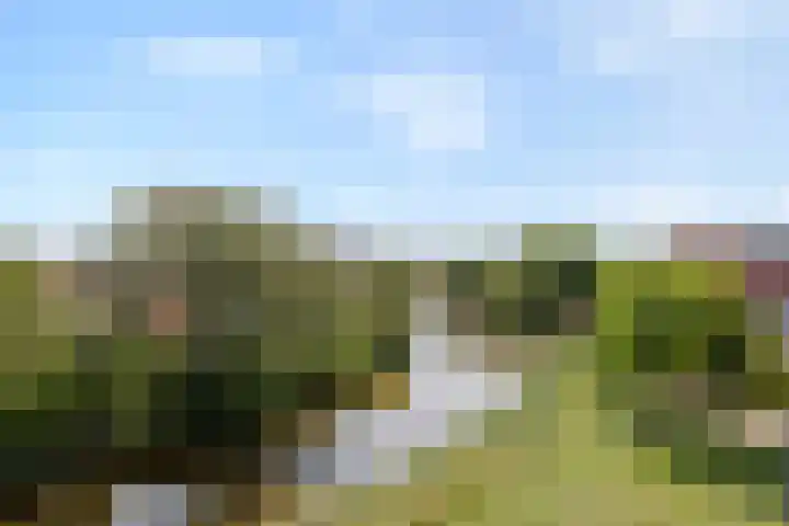 Antoni Gaudipark 44 Vlissingen thumbnail 22