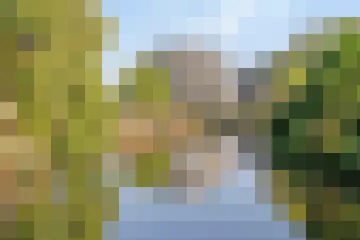 Antoni Gaudipark 44 Vlissingen thumbnail 31