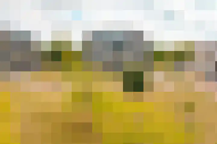 Antoni Gaudipark 54 Vlissingen thumbnail 33