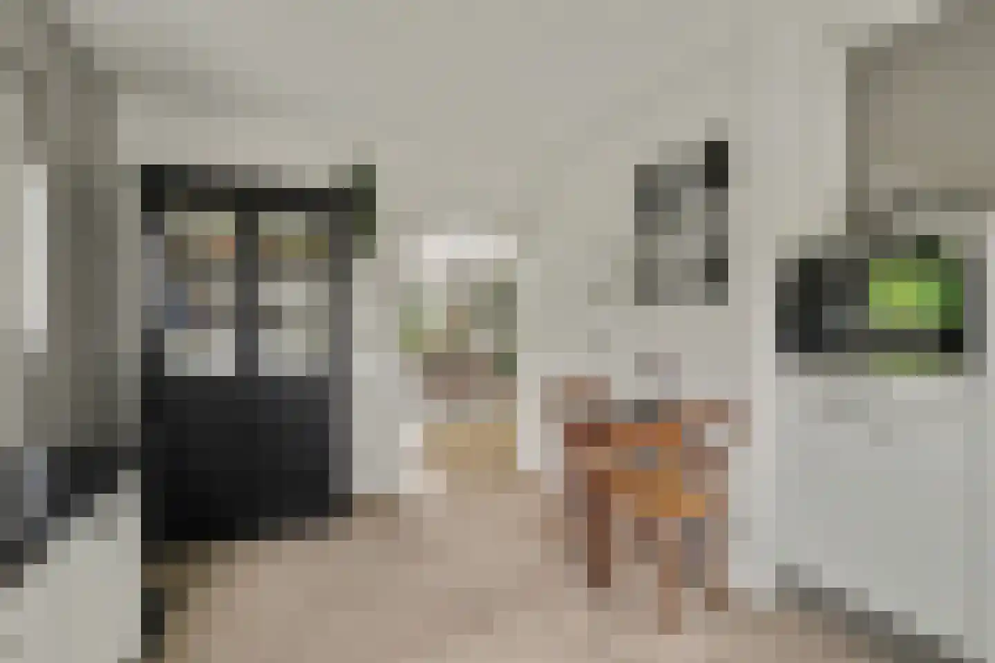 Antoni Staringlaan 15 Vlijmen thumbnail 14