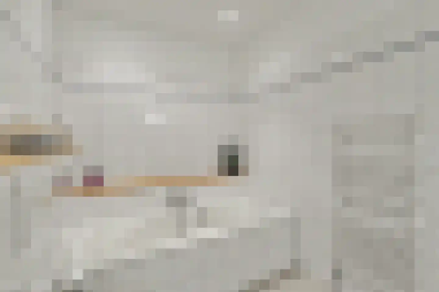 Antoni Staringlaan 15 Vlijmen thumbnail 20