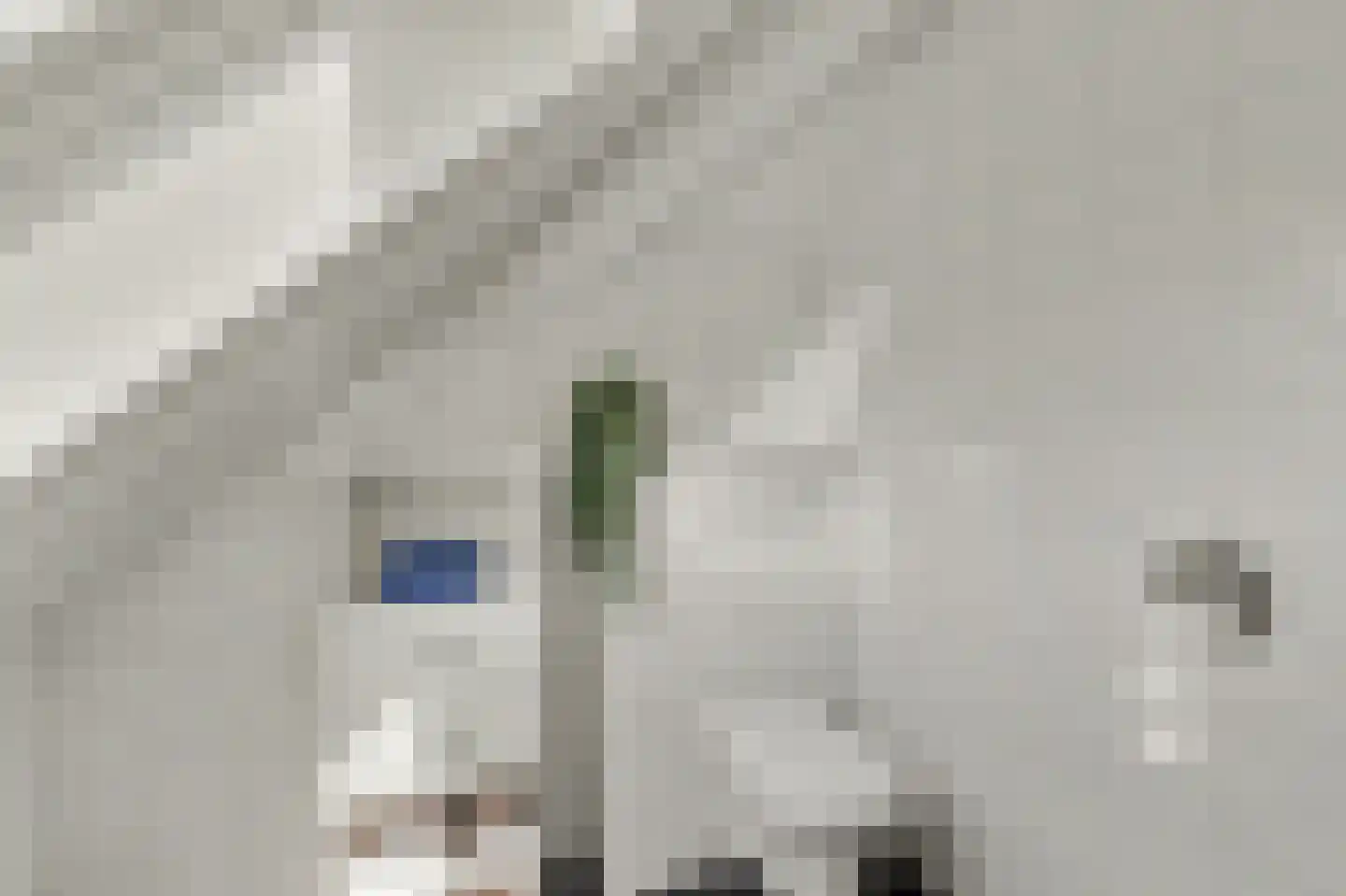 Antoni Staringlaan 15 Vlijmen thumbnail 29