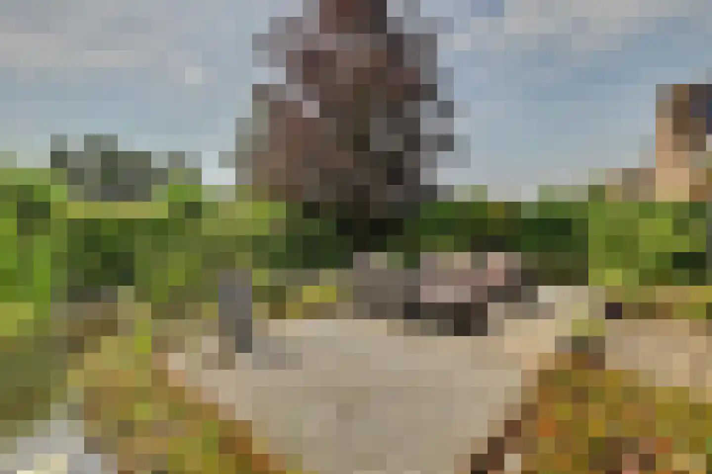 Antoni Staringlaan 15 Vlijmen thumbnail 44