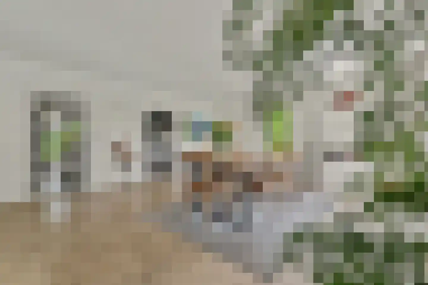 Antoni Staringlaan 15 Vlijmen thumbnail 9