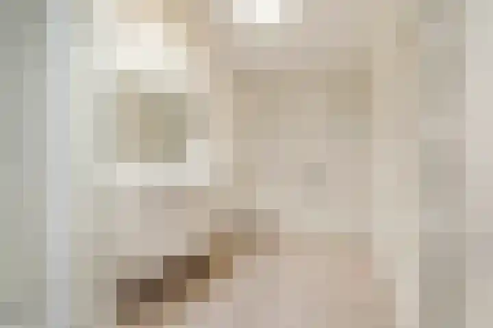 Antoni Staringlaan 22 Vlijmen thumbnail 17