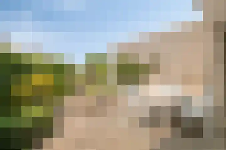 Antoni Staringlaan 22 Vlijmen thumbnail 32