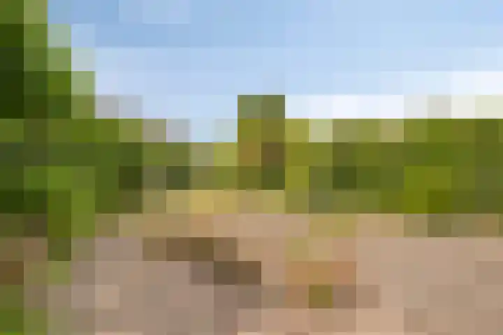 Antoni Staringlaan 22 Vlijmen thumbnail 33