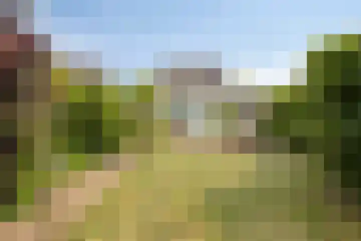 Antoni Staringlaan 22 Vlijmen thumbnail 35