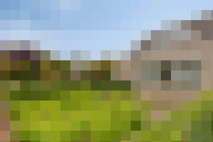 Antoni Staringlaan 22 Vlijmen thumbnail 36