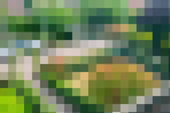 Antoni Staringlaan 22 Vlijmen thumbnail 37