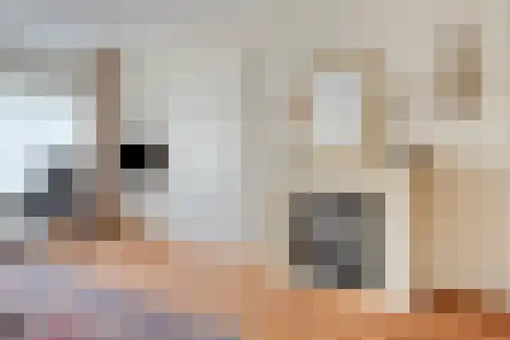 Antoni Staringlaan 22 Vlijmen thumbnail 6