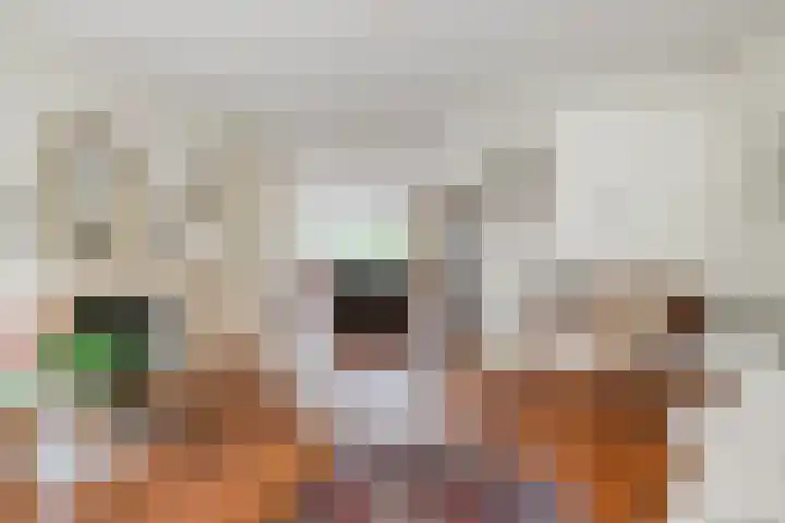 Antoni Staringlaan 22 Vlijmen thumbnail 8