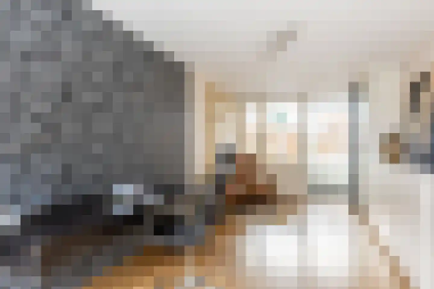 Antoni Staringlaan 3 Vlijmen thumbnail 11