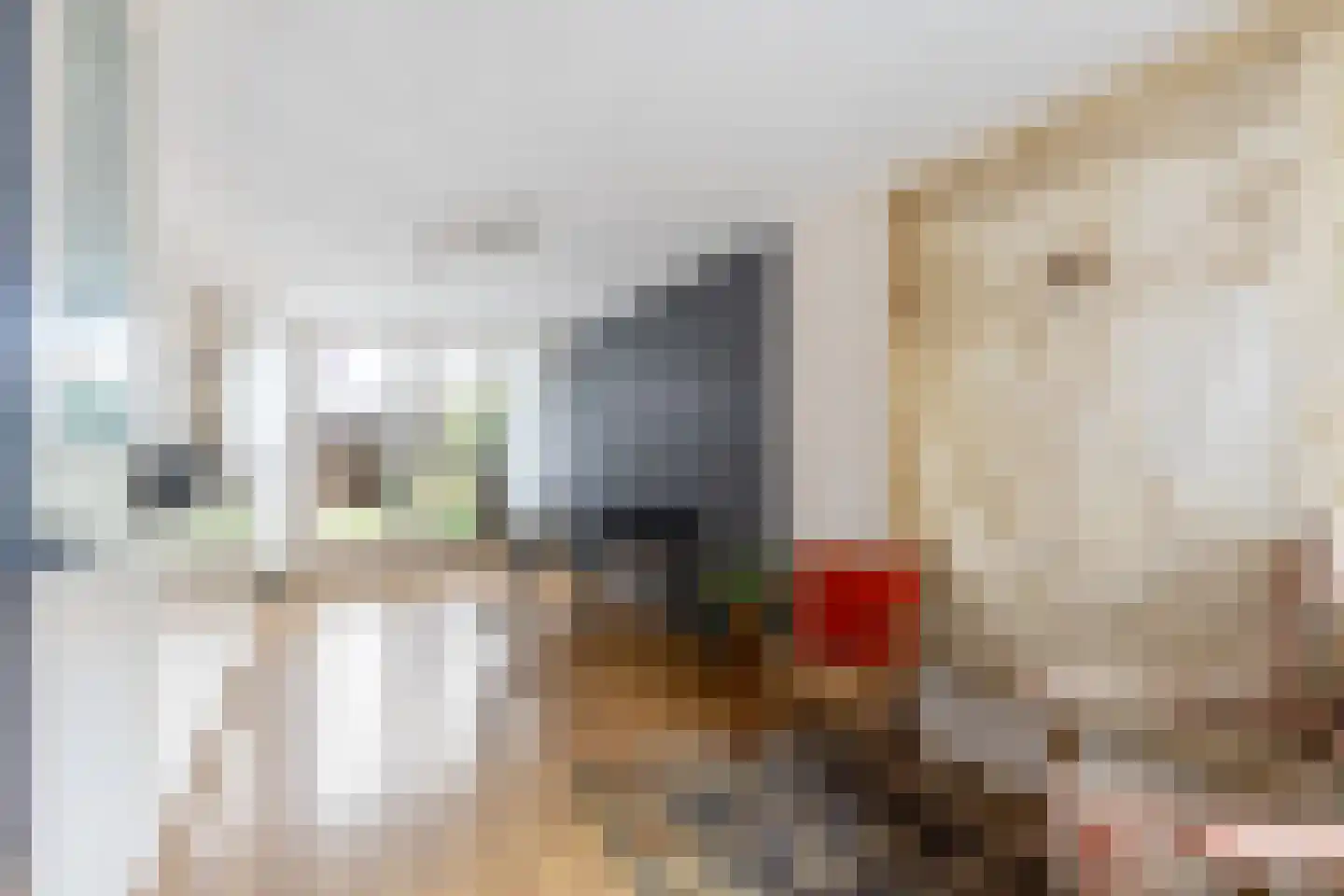 Antoni Staringlaan 3 Vlijmen thumbnail 12