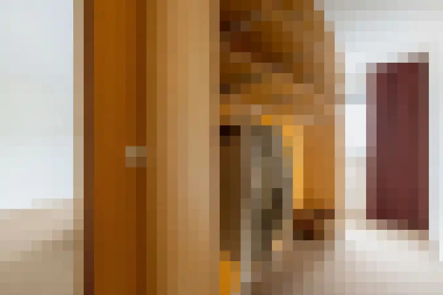 Antoni Staringlaan 3 Vlijmen thumbnail 16