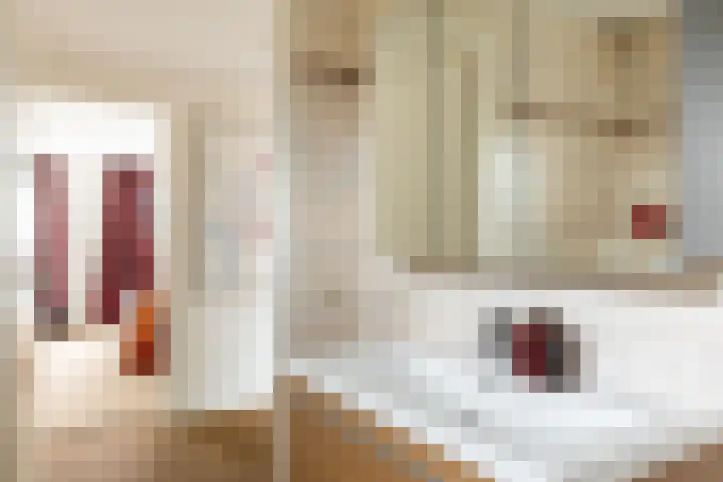 Antoni Staringlaan 3 Vlijmen thumbnail 18