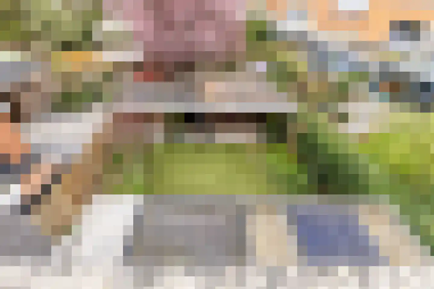 Antoni Staringlaan 3 Vlijmen thumbnail 28