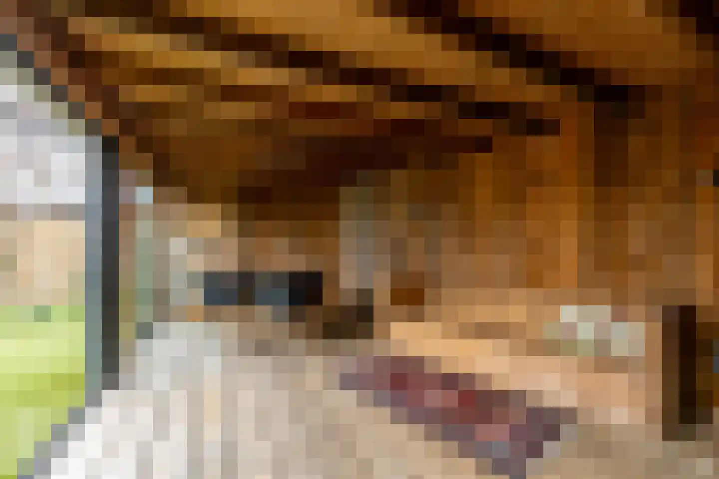Antoni Staringlaan 3 Vlijmen thumbnail 34