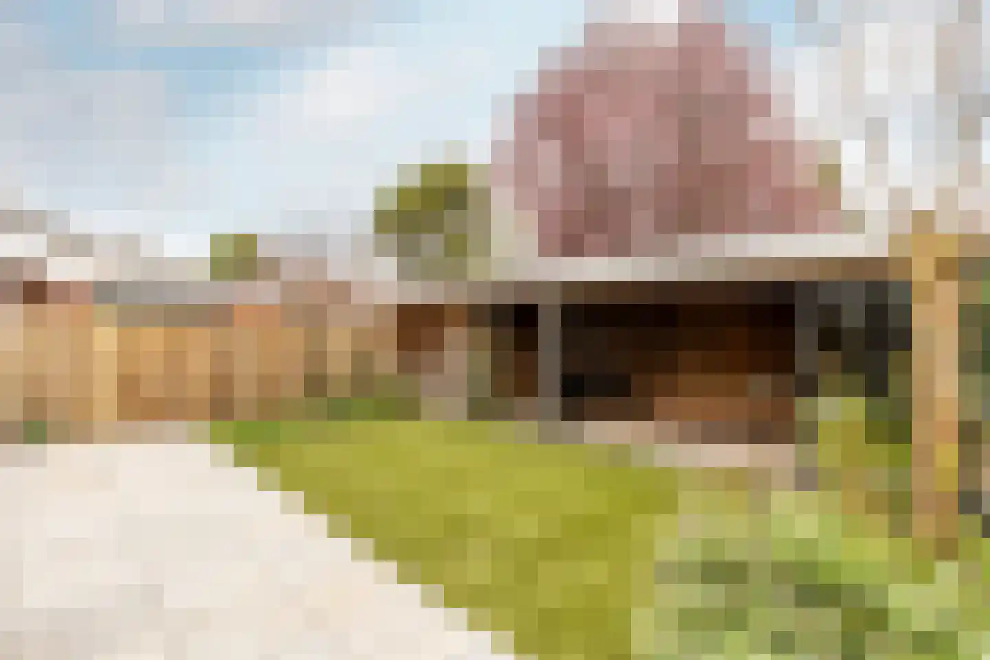 Antoni Staringlaan 3 Vlijmen thumbnail 35